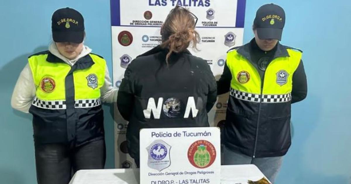 Golpe al narcomenudeo- detuvieron a una mujer con 35 dosis de cocaiacutena
