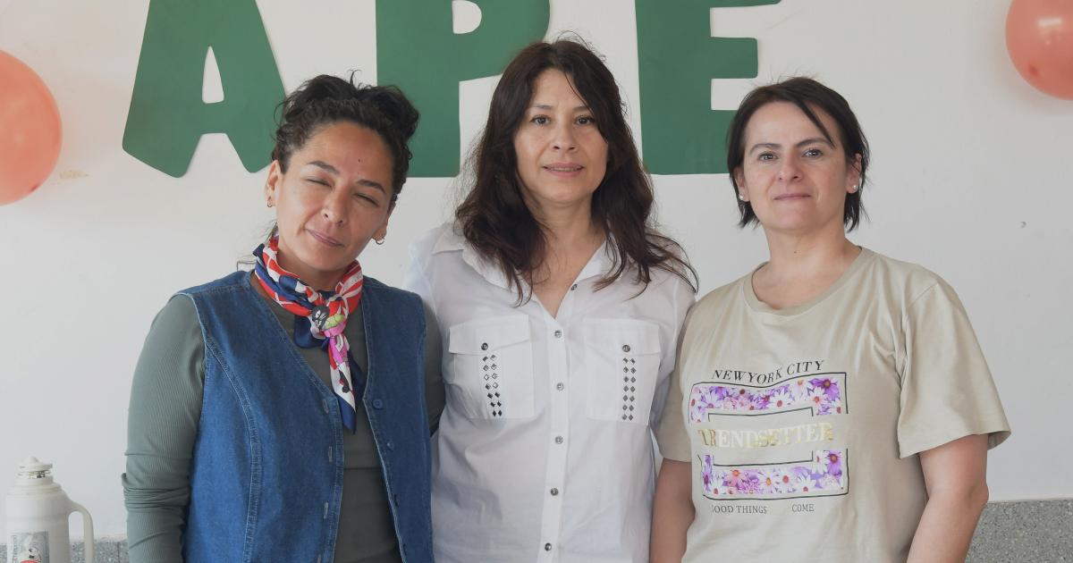 MUESTRA DE CARRERAS EN EL PROFESORADO Ndeg1