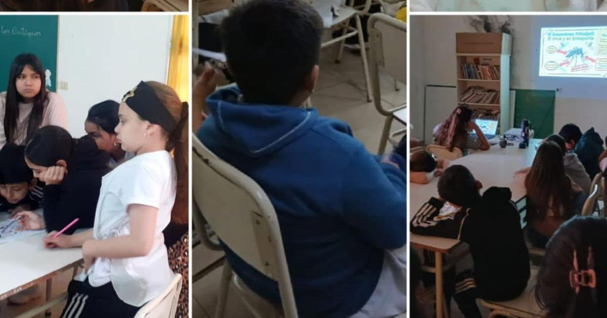Guardianes de la Salud- alumnos del barrio Borges participaron de un taller de prevencioacuten del dengue