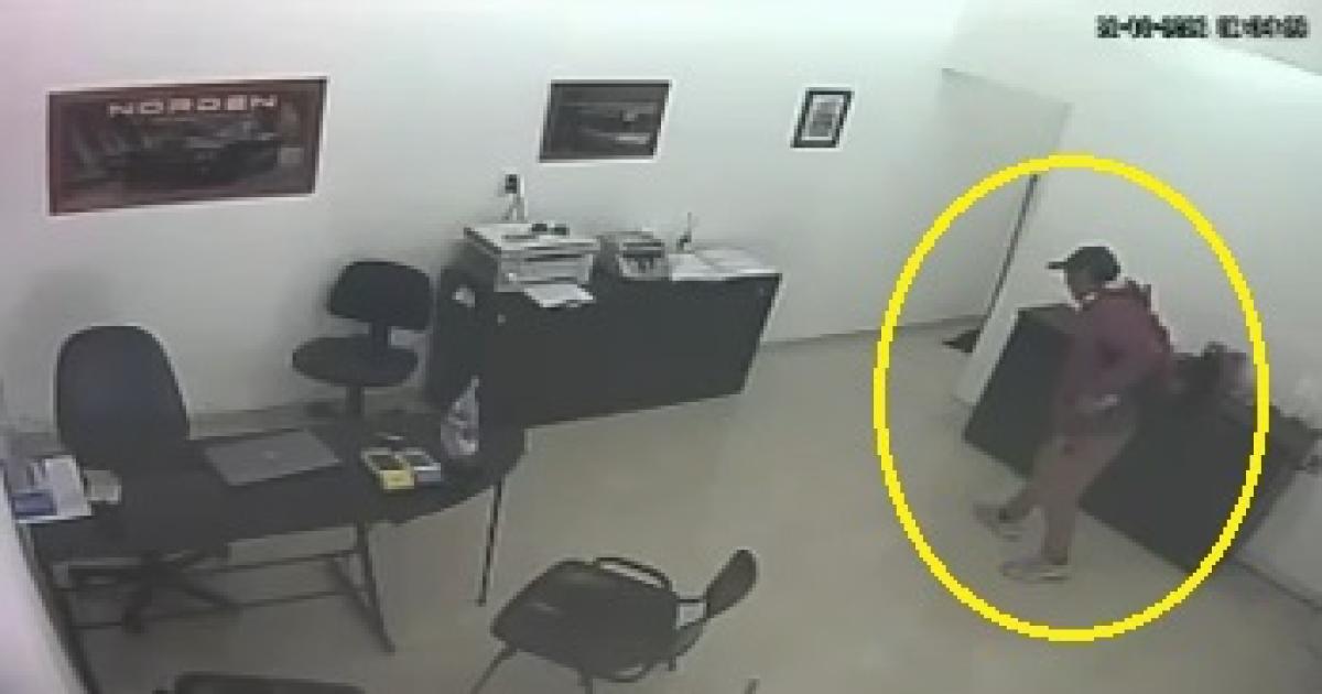 Cayoacute el hombre que se llevoacute 4000000 de la concesionaria del interior- estaba oculto entre la maleza