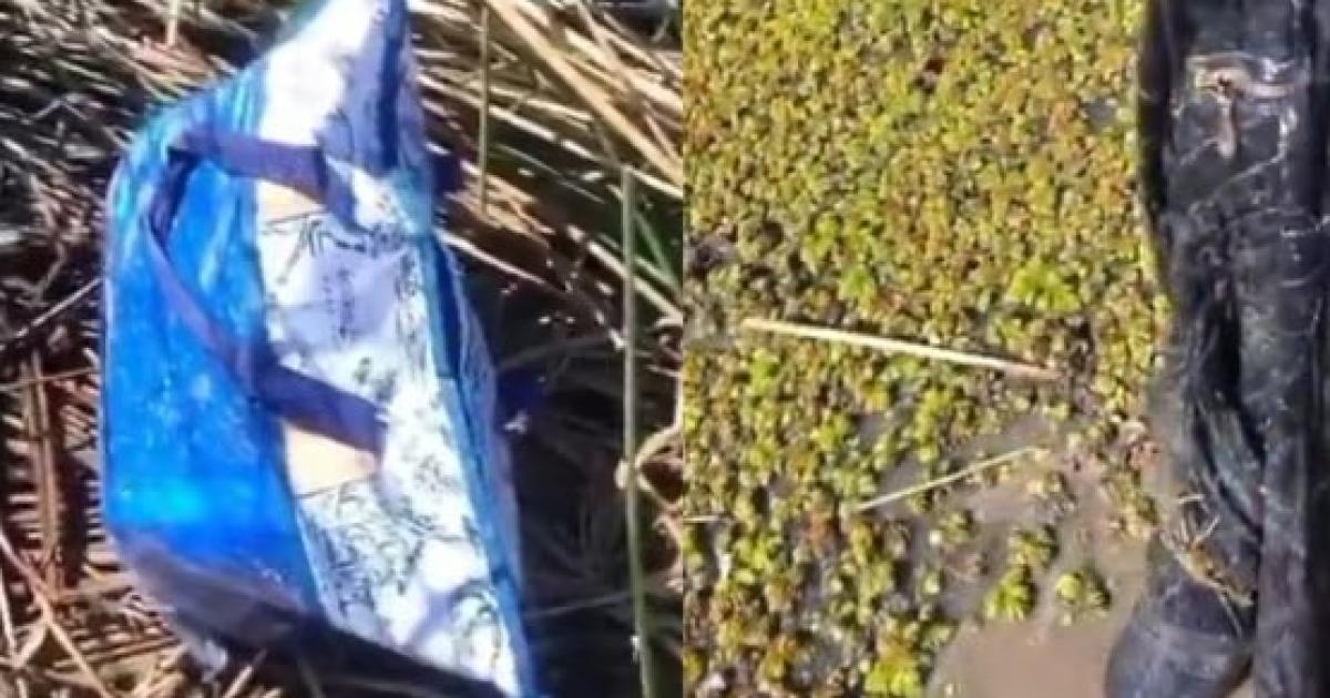 VIDEO Crimen de Nancy Godoy en Corrientes- trascendieron grabaciones del bantildeado donde hallaron el cuerpo de la docente