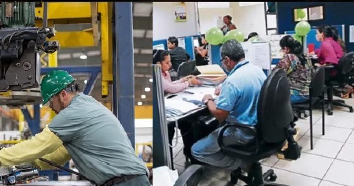 Por cada empleo puacuteblico perdido se malograron casi 5 maacutes entre los privados
