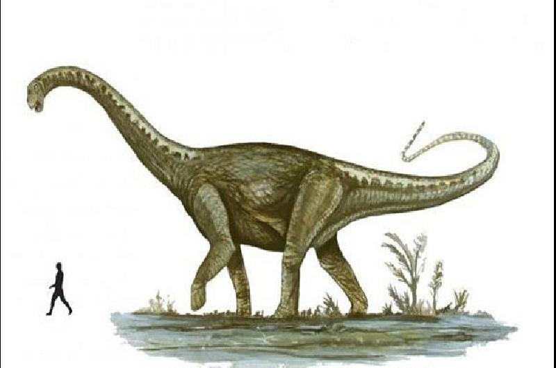 Dinosaurio argentino está dentro de los cinco más grandes del mundo ...
