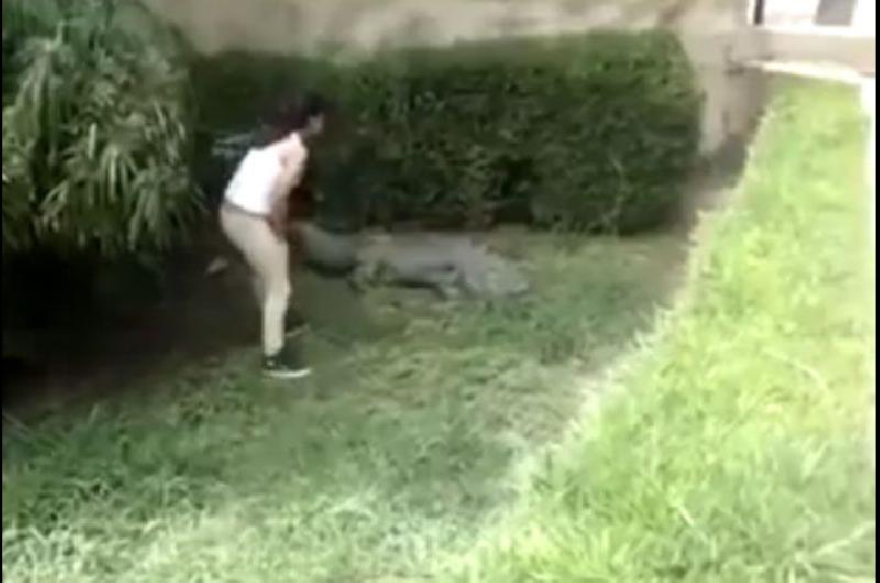 Mirá como una niña provoca a un cocodrilo y desafía a la muerte - Una ...