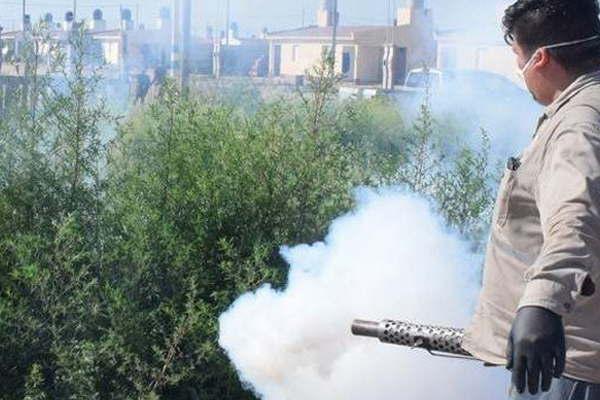 Encaran tareas de fumigación en distintos barrios de la ciudad capital ...