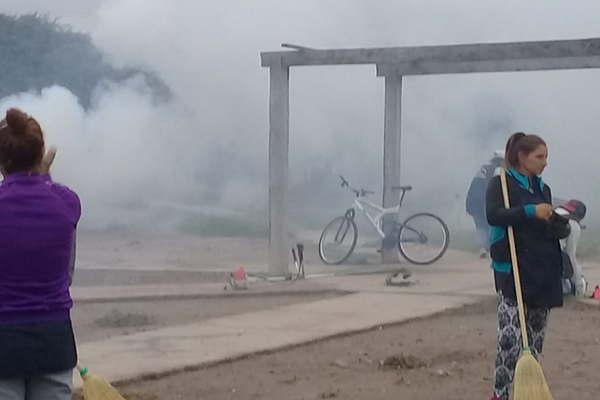 Realizaron un intenso operativo de fumigación y desmalezamiento en el ...