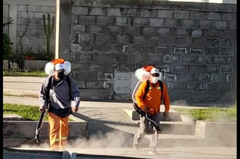 El municipio refuerza los trabajos de fumigación en los barrios ...