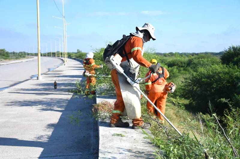 Avanzan los operativos de limpieza en la costanera camino a San Esteban ...