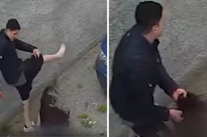 Un hombre intentó matar a golpes a su exnovia y escapó - El agresor ya ...