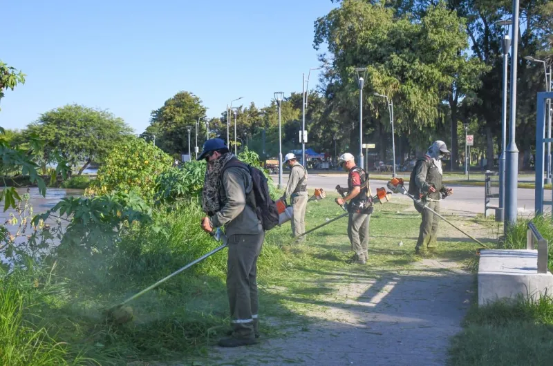Operativo de desmalezamiento y limpieza en un sector de la Costanera ...