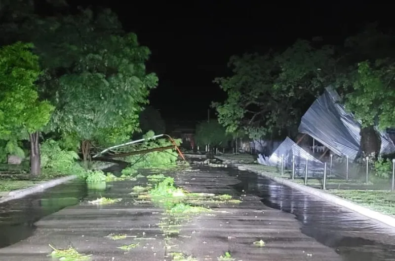 Fuerte tormenta azotó Laprida: voladura de techos, árboles y postes ...