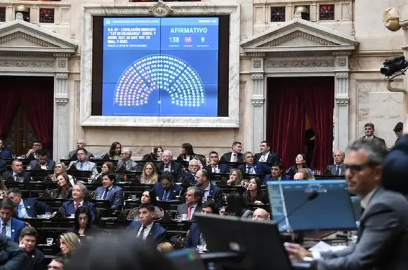 Diputados aprobó la "Ley Hojarasca" y el oficialismo avanza con su plan ...