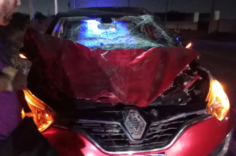 Un caballo suelto provocó un fuerte siniestro vial en la zona de Maco
