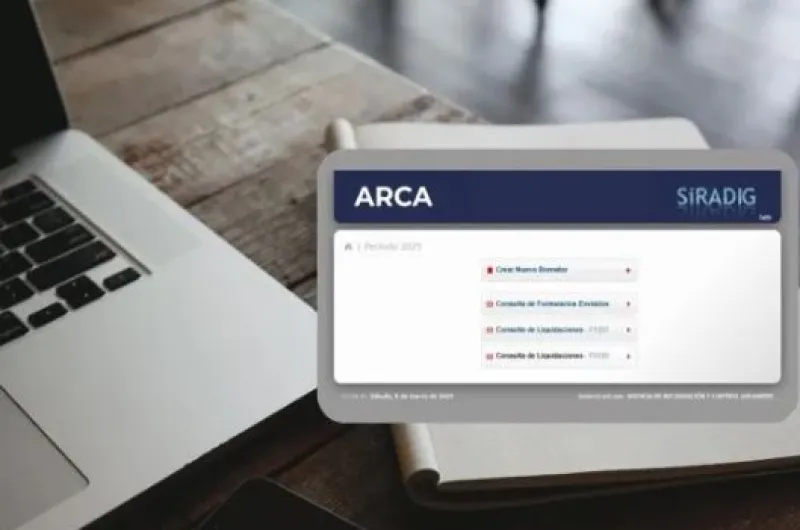 ARCA analiza cambios en las compras por Temu y Shein: qué podría cambiar para los argentinos