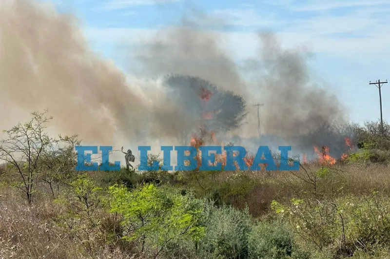 Tensión en la Ruta 9: bomberos sofocaron un extenso incendio forestal y salvaron una vivienda